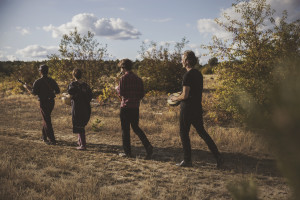 Pallet of Leaves music band